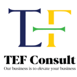 TEF Consult